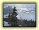 IMG_4519